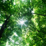 From Scarcity to Infinity