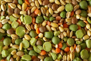 Lentil Soup