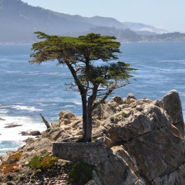 DSC_0353 DSC_0353